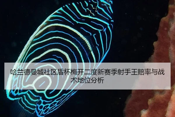 ha-lan-de-man-cheng-she-qu-dun-bei-mei-kai-er-du-xin-sai-ji-she-shou-wang-pei-lv-yu-zhan-shu-di-wei-fen-xi-2-377.jpg