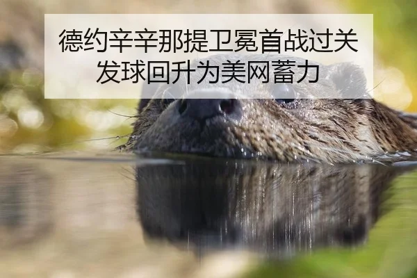 de-yue-xin-xin-na-ti-wei-mian-shou-zhan-guo-guan-fa-qiu-hui-sheng-wei-mei-wang-xu-li-2-831.jpg